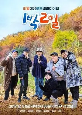 奔跑吧 第12季 综艺 2024